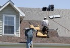 Camperdownskylights-2.jpg; ?>